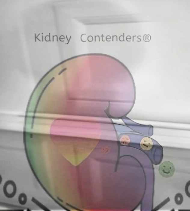 Kidney Contenders Logo